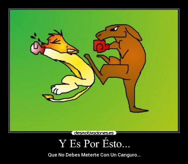 Y Es Por Ésto... - Que No Debes Meterte Con Un Canguro...