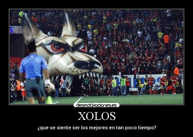 XOLOS -