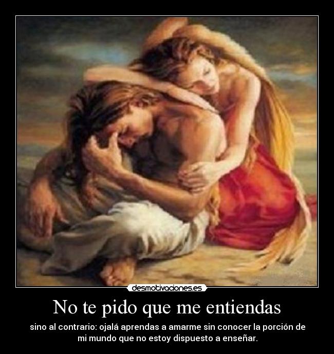 No te pido que me entiendas -
