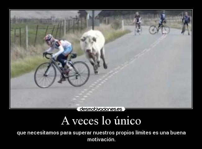 carteles pedalea pedalea pedaleeeeeaaaaaaaa muuuuuuuuuuuuuuuuuuuuuuuuuuuuuuuu desmotivaciones