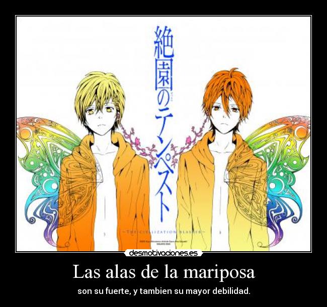 Las alas de la mariposa -