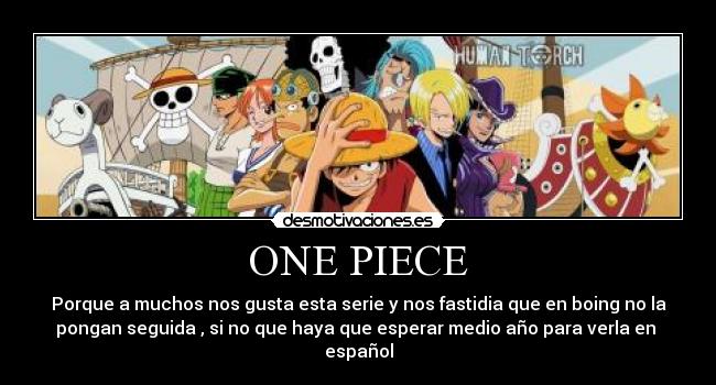 ONE PIECE -