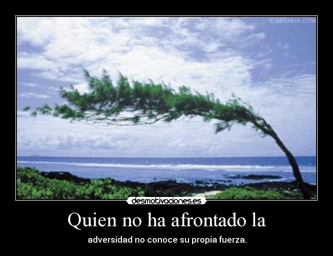 Quien no ha afrontado la - adversidad no conoce su propia fuerza.