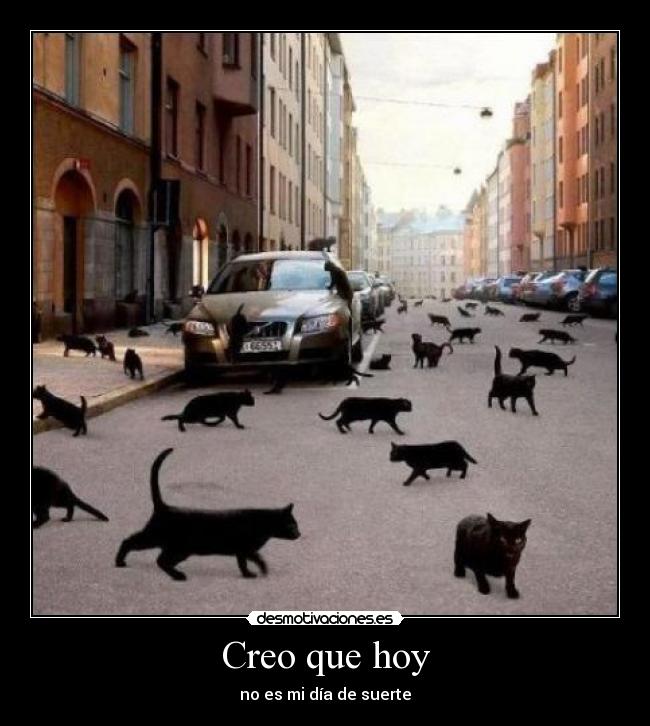 Creo que hoy - no es mi día de suerte