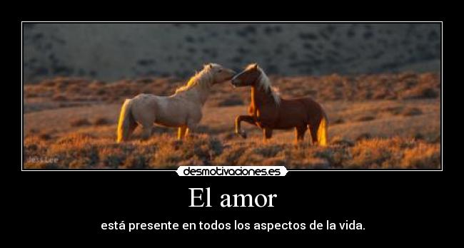 El amor - está presente en todos los aspectos de la vida.
