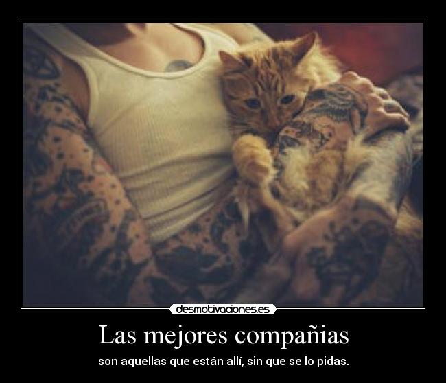 Las mejores compañias -