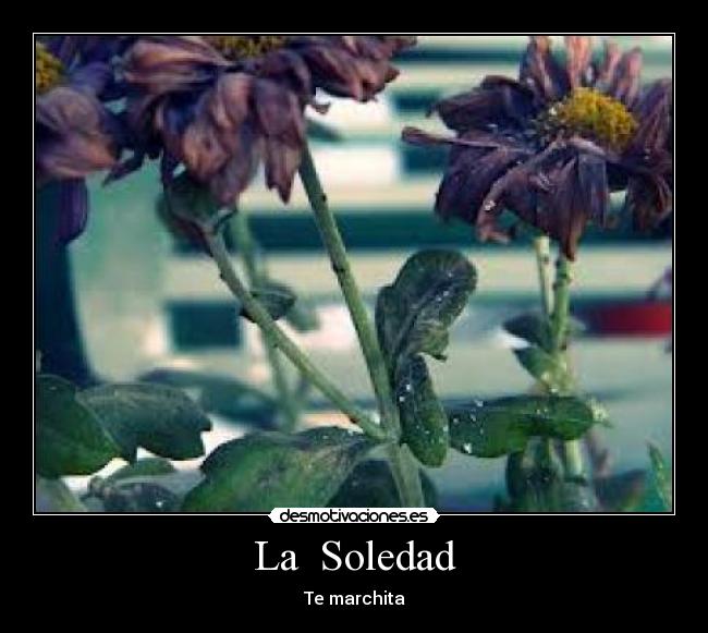 La Soledad -
