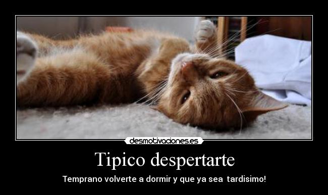 Tipico despertarte - Temprano volverte a dormir y que ya sea  tardisimo!