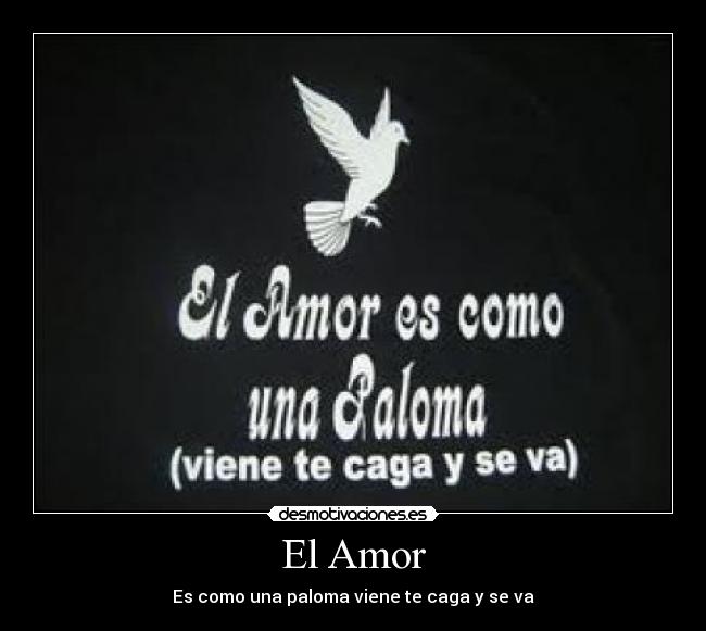 El Amor - Es como una paloma viene te caga y se va