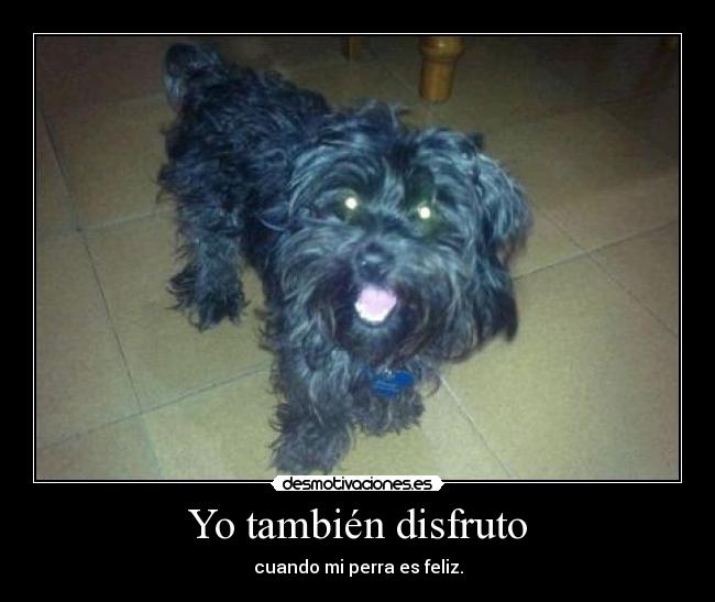Yo también disfruto - cuando mi perra es feliz.