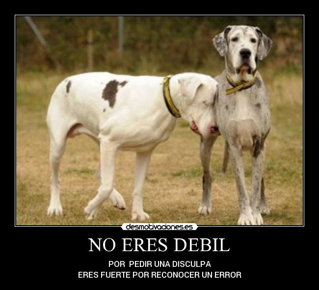 NO ERES DEBIL - POR PEDIR UNA DISCULPA
ERES FUERTE POR RECONOCER UN ERROR