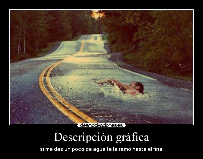 Descripción gráfica - 