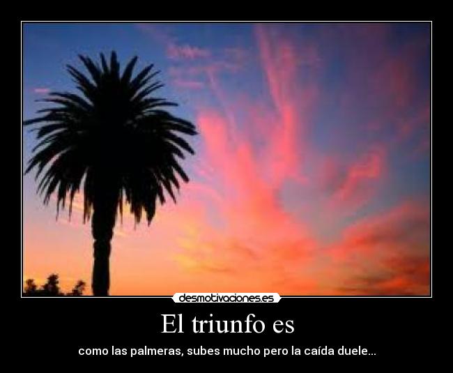 El triunfo es - como las palmeras, subes mucho pero la caída duele...
