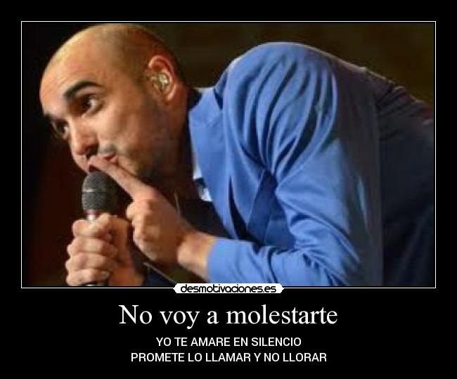 No voy a molestarte -