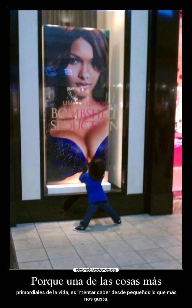 carteles boobs cukih smile desmotivaciones