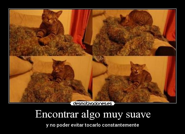 Encontrar algo muy suave - y no poder evitar tocarlo constantemente