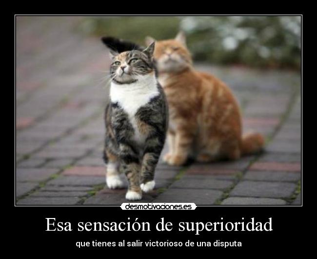 Esa sensación de superioridad - que tienes al salir victorioso de una disputa