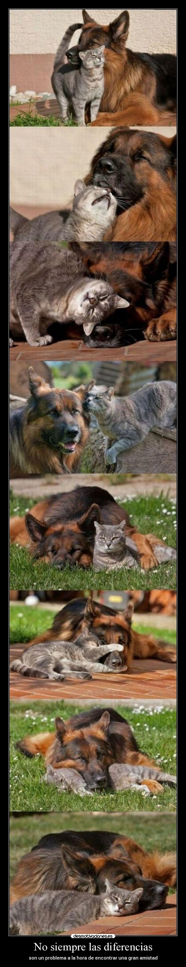 No siempre las diferencias - son un problema a la hora de encontrar una gran amistad