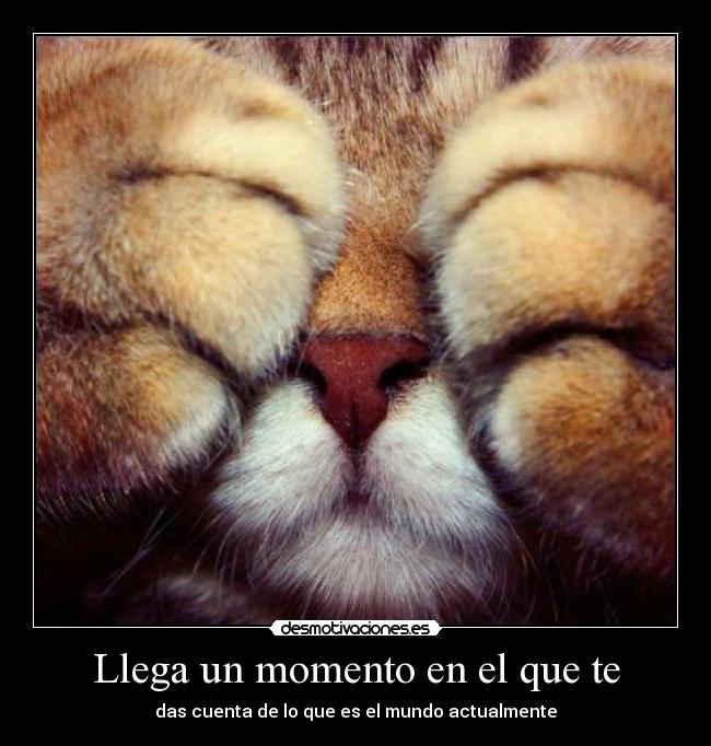Llega un momento en el que te - das cuenta de lo que es el mundo actualmente