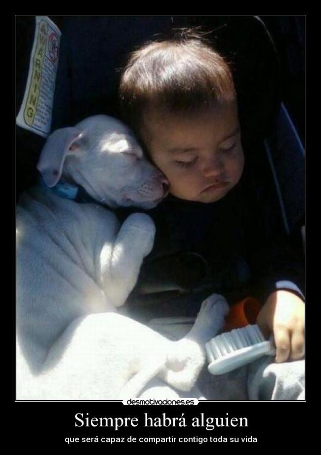 Siempre habrá alguien - que será capaz de compartir contigo toda su vida