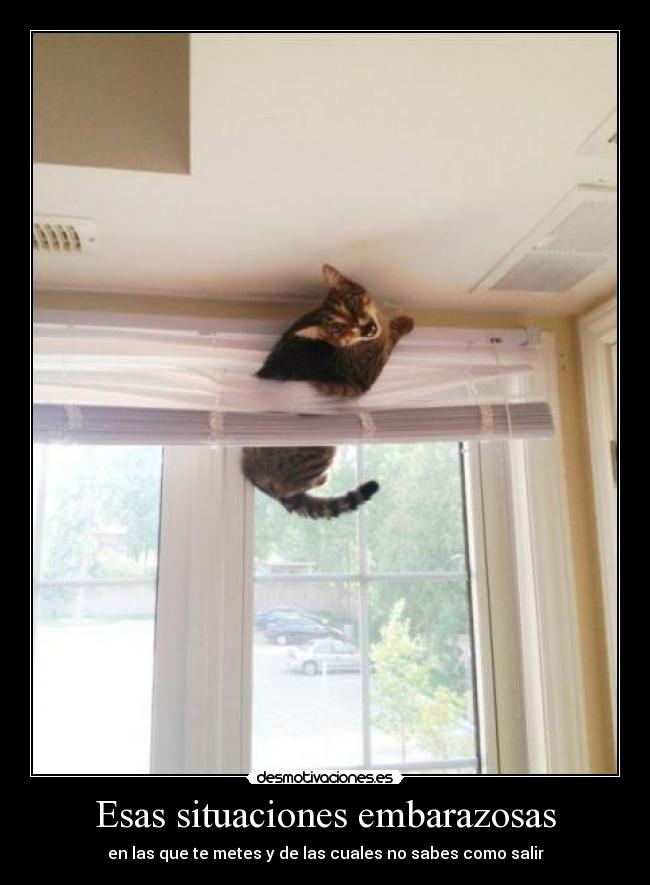 Esas situaciones embarazosas - en las que te metes y de las cuales no sabes como salir