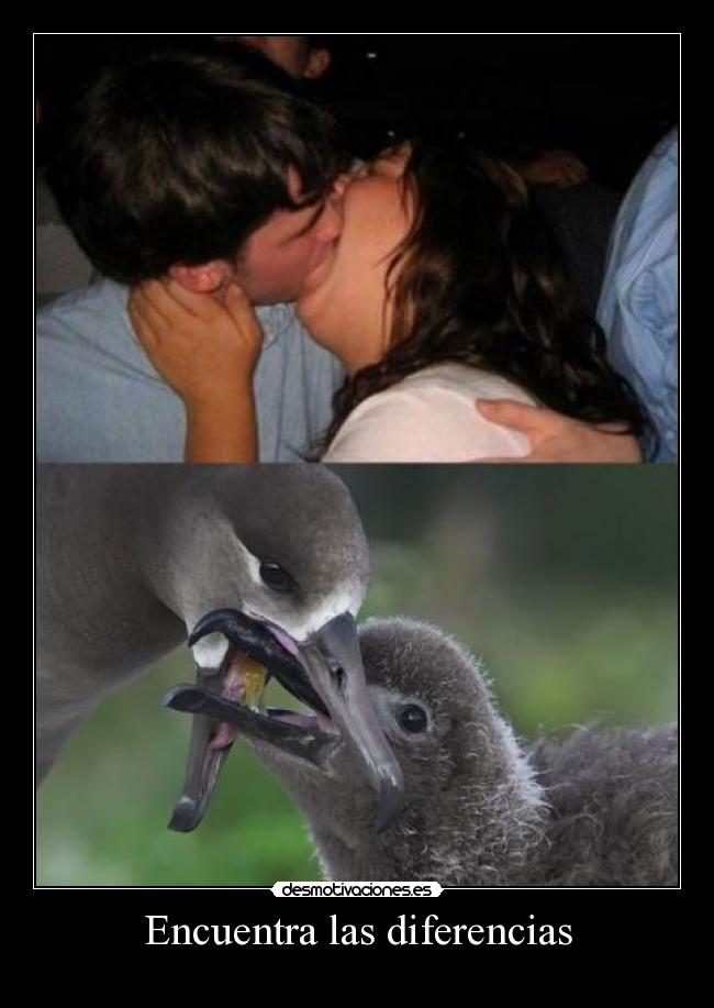 Encuentra las diferencias -