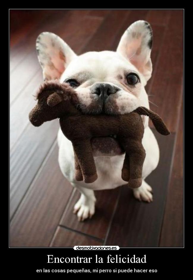 carteles felicidad felicidad desmotivaciones