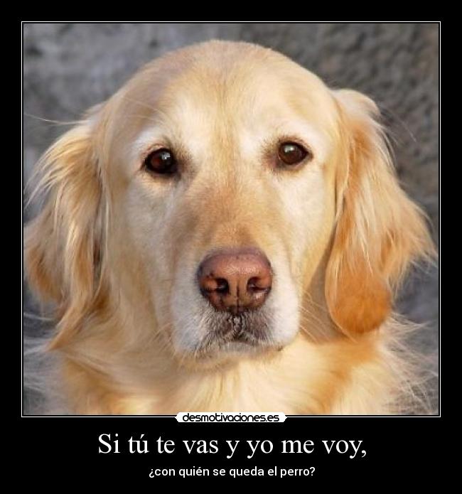 Si tú te vas y yo me voy, Desmotivaciones Si tú te vas y yo me voy, Desmotivaciones