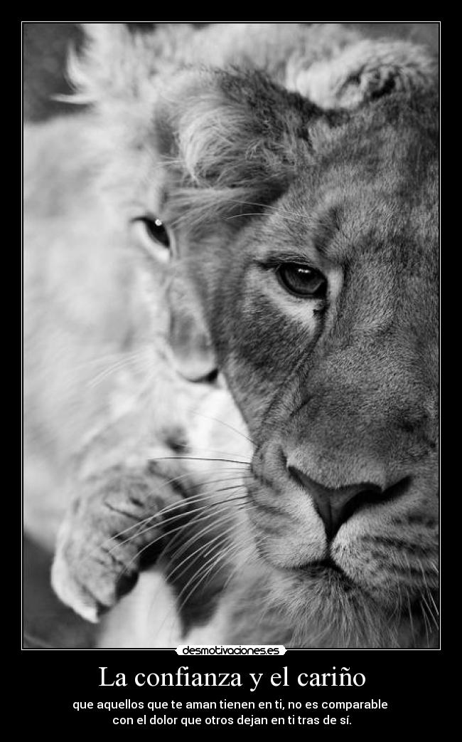 La confianza y el cariño - que aquellos que te aman tienen en ti, no es comparable
con el dolor que otros dejan en ti tras de sí.