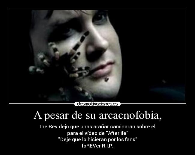 A pesar de su arcacnofobia, - The Rev dejo que unas arañar caminaran sobre el
para el vídeo de Afterlife
Deje que lo hicieran por los fans
foREVer R.I.P.