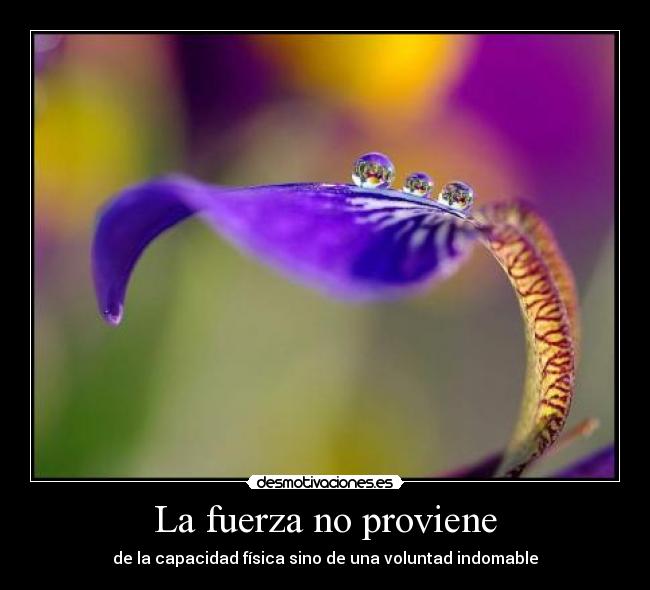 La fuerza no proviene - 