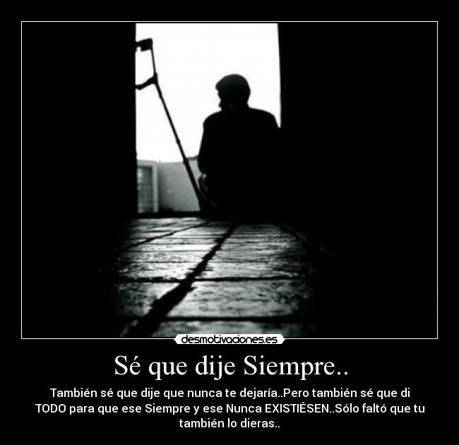 carteles se que dije siempre desmotivaciones