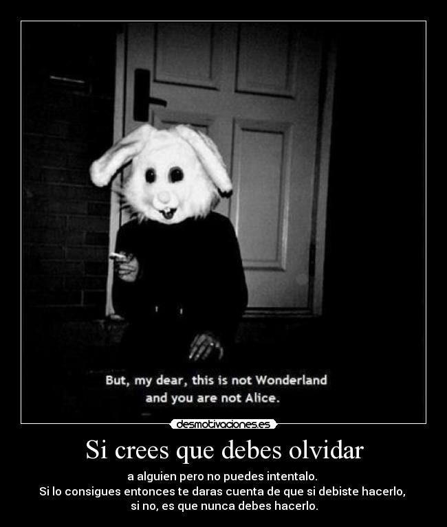 carteles olvidar crees que debes olvidar desmotivaciones