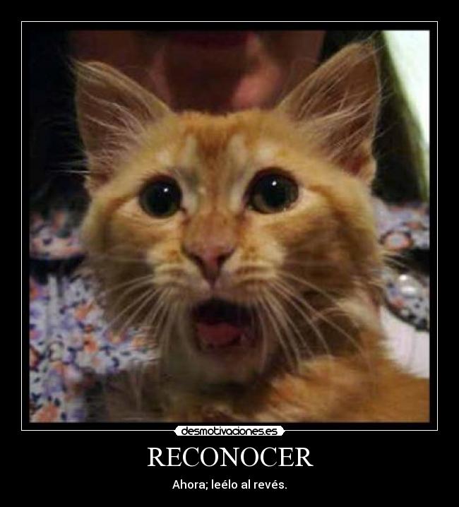 RECONOCER -