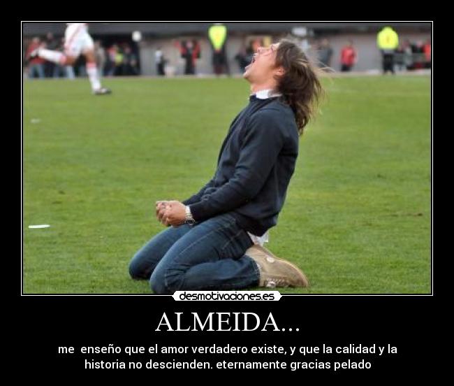 ALMEIDA... - 