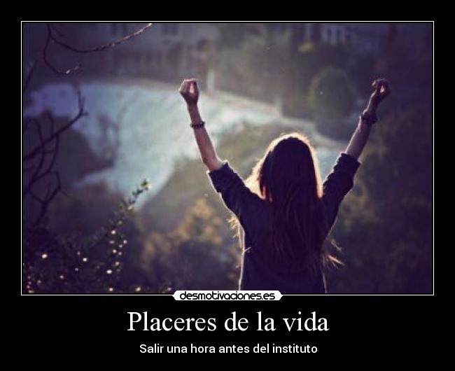 carteles vida placer vida desmotivaciones