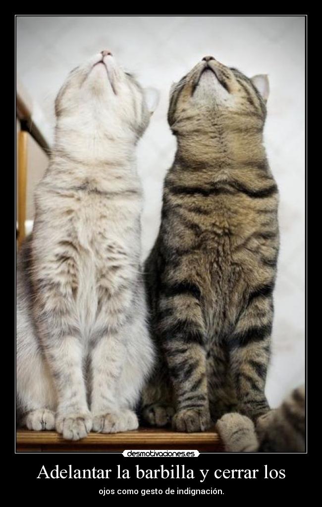 carteles dando pisotones arena mojar senoras como belen parera todo vale aqui desmotivaciones