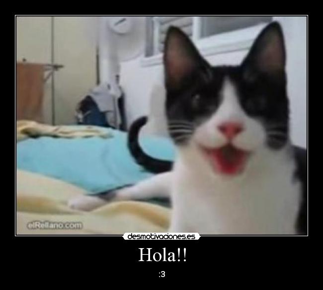 Hola!! - :3