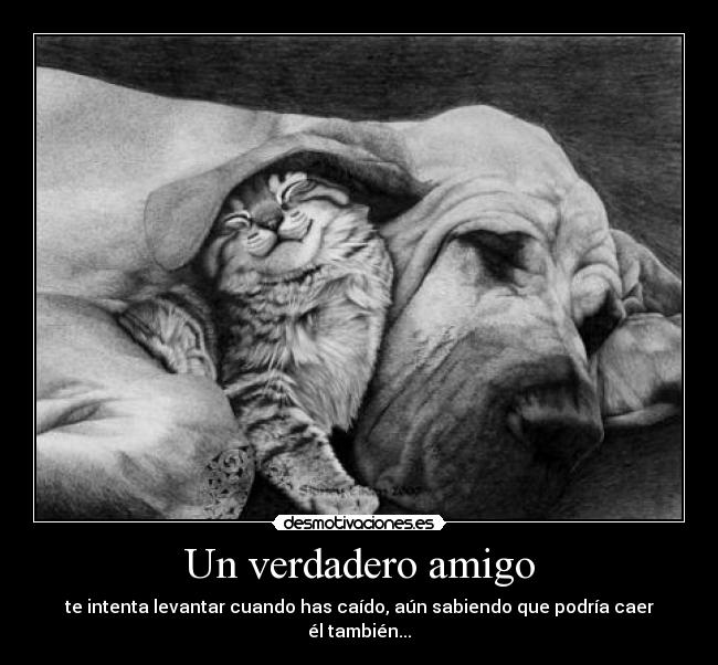 Un verdadero amigo - 