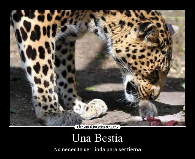 carteles motivacion dilema desmotivaciones