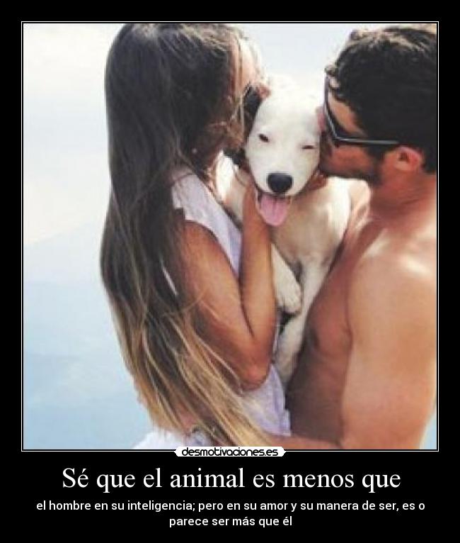 Sé que el animal es menos que - el hombre en su inteligencia; pero en su amor y su manera de ser, es o
parece ser más que él