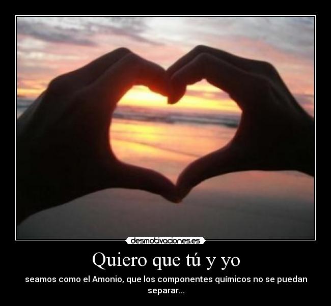 Quiero que tú y yo - seamos como el Amonio, que los componentes químicos no se puedan separar...