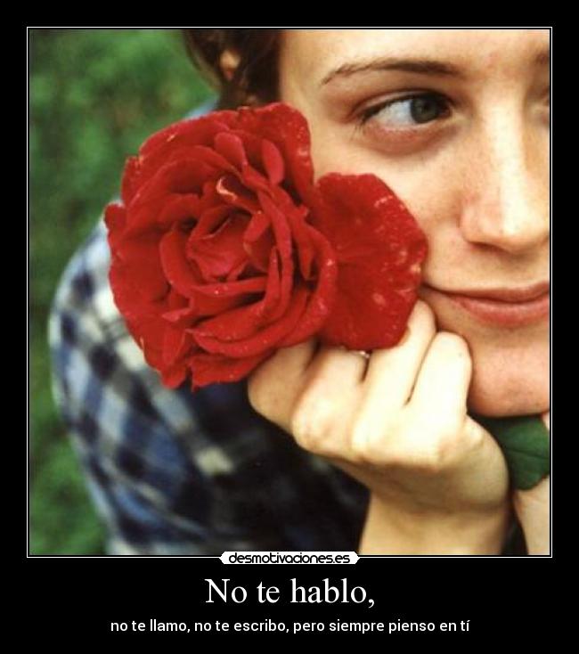 No te hablo, - no te llamo, no te escribo, pero siempre pienso en tí