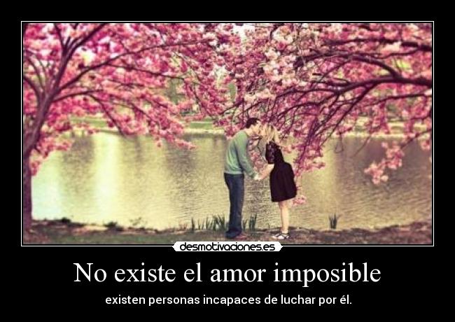 No existe el amor imposible - existen personas incapaces de luchar por él.