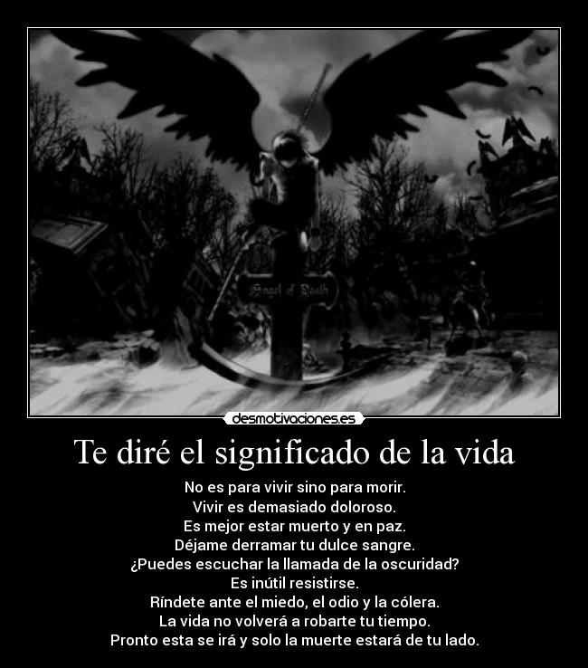 Te diré el significado de la vida - 