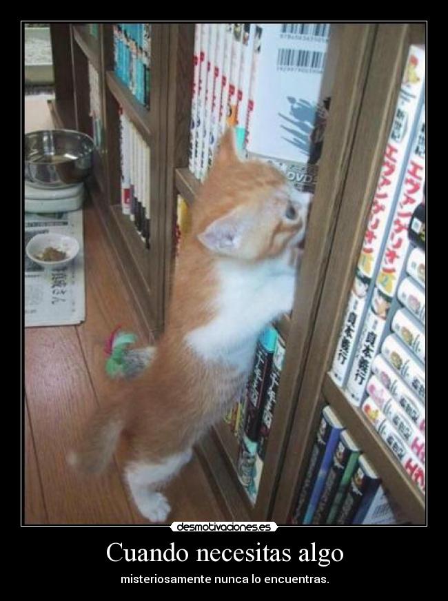 carteles harukaze gotian raptorhunters anime desmotivaciones