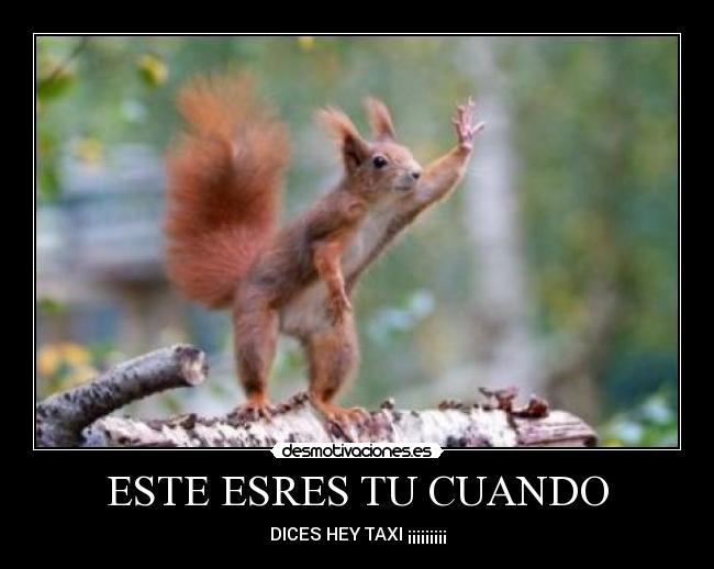 ESTE ESRES TU CUANDO - DICES HEY TAXI ¡¡¡¡¡¡¡¡¡