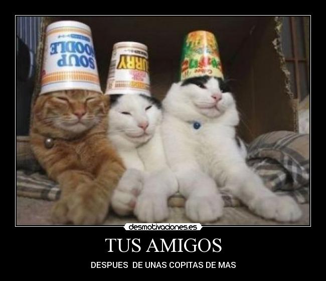 TUS AMIGOS - DESPUES DE UNAS COPITAS DE MAS