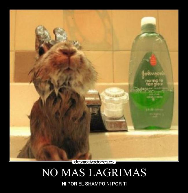 NO MAS LAGRIMAS - NI POR EL SHAMPO NI POR TI