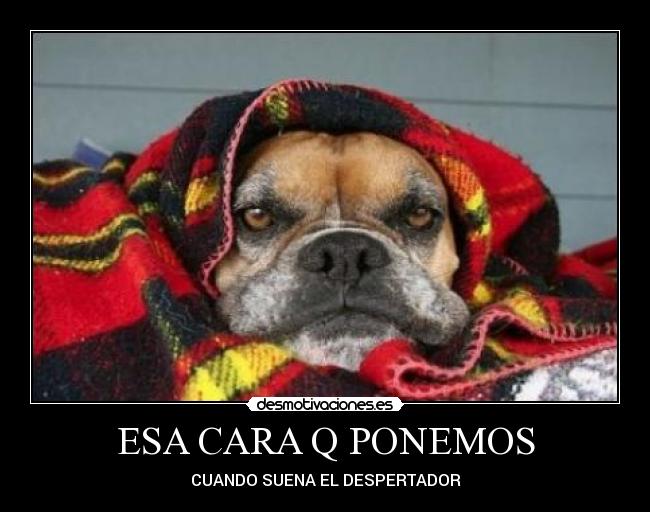 ESA CARA Q PONEMOS - CUANDO SUENA EL DESPERTADOR